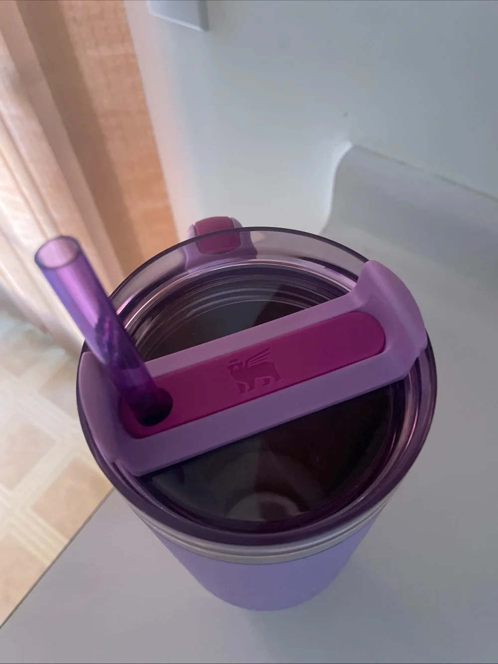 Olivia Rodrigo Collector Stanley Tumbler with Straw